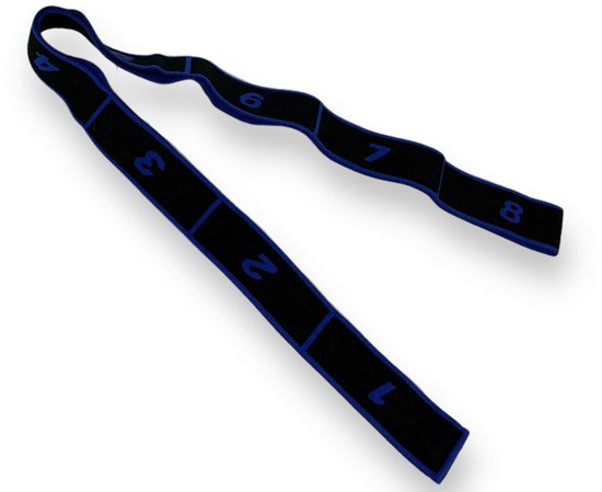 Padisport - Stretch Elastiek Blauw - Stretch Elastiek Fitness - Stretch Elastiek Band - Leniger Worden - Fitness Elastiek van Merkloos