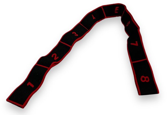 Padisport - Stretch Elastiek - Rood - Stretch Elastiek Fitness - Stretch Elastiek Band - Leniger Worden - Fitness Elastiek van Merkloos