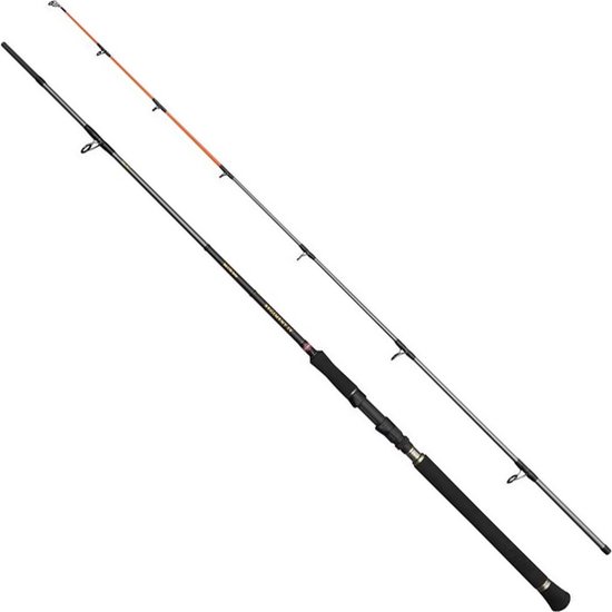 Penn Regiment Iv Spin/pilk Spinhengel Zilver 2.40 m / 100-250 g van Merkloos