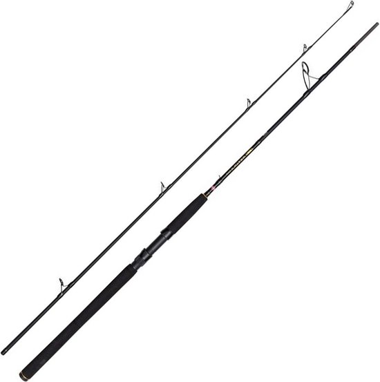 Penn Wrath Ii Spinhengel Zilver 2.74 m / 20-60 g van Merkloos