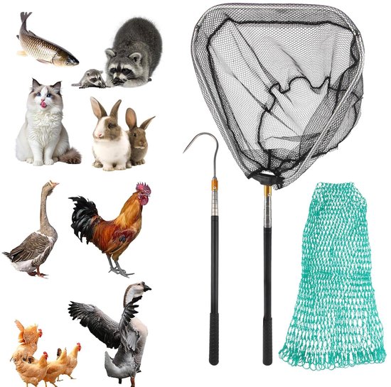 Pluimveeschepnet Set - Vangnet Dieren - Dieren Vangen - Intrekbaar Ontwerp - 1.5 Meter Uitschuifbaar - Zwart van Merkloos