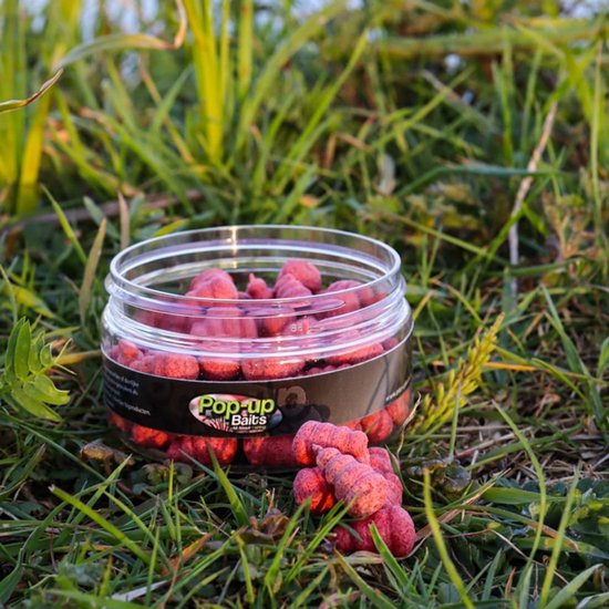 Pop-up Baits SNAILS POP-UP Garlic & Robin Red