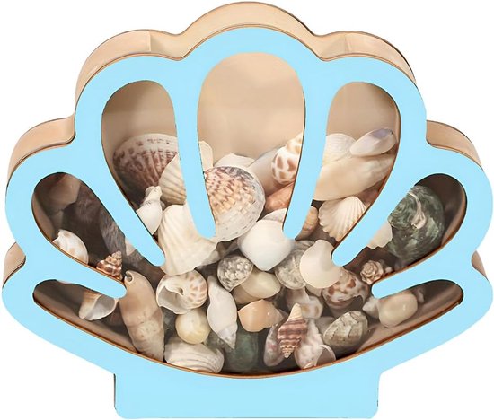 Presentatiedoos voor schelpen, standaard, hout, met transparant venster, acryl, kleine ster, zee, blauw, schelp, tand, haai, vitrine, voor collectie, decoratie, marine, strand, 15,5 x 13 x
