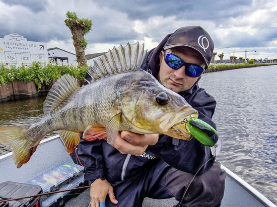 Quantum Q Crank Fat Minnow DR 4cm 6g (diepte 1-3m) - Kleur : Real Shiner van Quantum