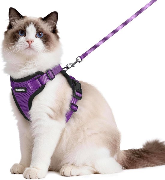 Rabbitgoo Kattenharnas en Riem 150cm, Harnas Kat anti-ontsnapping, Kattenharnas Verstelbare, Kattentuigje Reflecterende van Zachte en Ademend, Kattentuigje voor Kitten Kleine Honden, M, Paars
