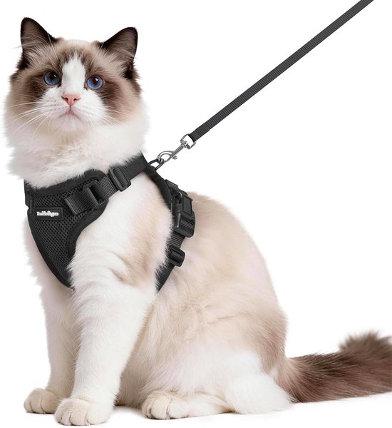 rabbitgoo Kattenharnas en Riem 150cm, Harnas Kat anti-ontsnapping, Kattenharnas Verstelbare, Kattentuigje Reflecterende van Zachte en Ademend, Kattentuigje voor Kitten Kleine Honden, M, Zwart