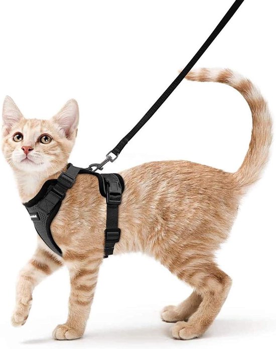 rabbitgoo Kattenharnas en Riem 150cm, Harnas Kat anti-ontsnapping, Kattenharnas Verstelbare, Kattentuigje Reflecterende van Zachte en Ademend, Kattentuigje voor Kitten Kleine Honden, S, Zwart