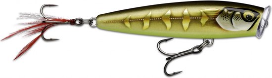Rapala Skitter Pop Elite | 7.5cm | 10g Gilded Striped Grey Shiner 7.5cm van Rapala