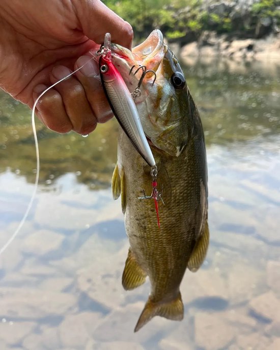 Rapala X-rap Bruin 10cm van Rapala