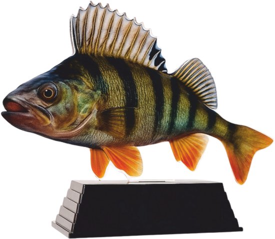 Real Fish Trofee Baars 17 cm Vis Prijs Roofviswedstrijd Viswedstrijd Fish Trophy Vistrofee Visprijs van Merkloos