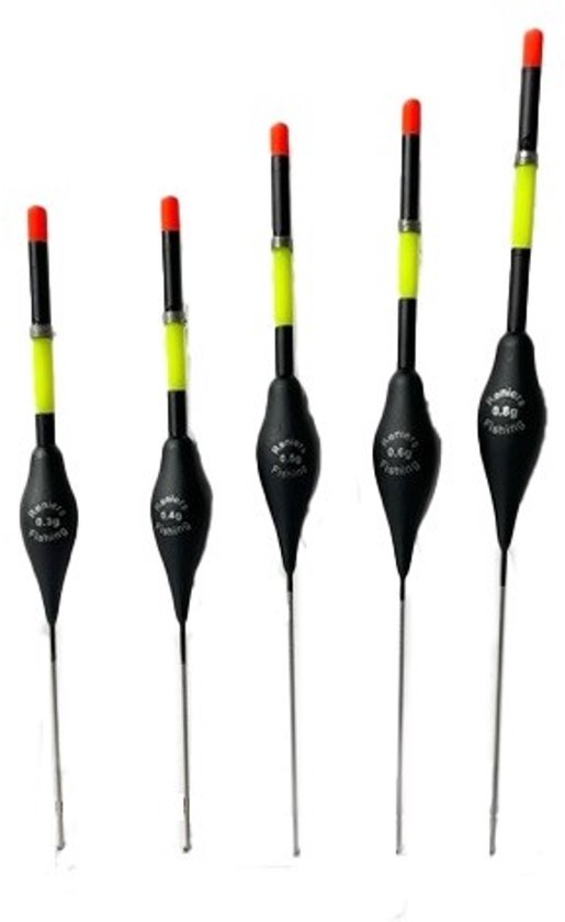 Reniers Fishing Dobber Alloise – Klassieke Allround Pen voor Karper, Brasem en Witvis - Maat : 0.30gr