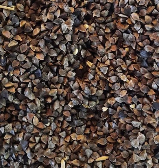 Reniers Fishing Gekuiste Boekweit – Natuurlijke Partikel voor Karper en Zoekvoer-effect - Maat : 1 Kilo
