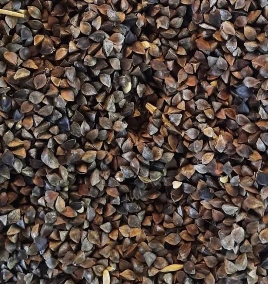 Reniers Fishing Gekuiste Boekweit – Natuurlijke Partikel voor Karper en Zoekvoer-effect - Maat : 20 Kilo