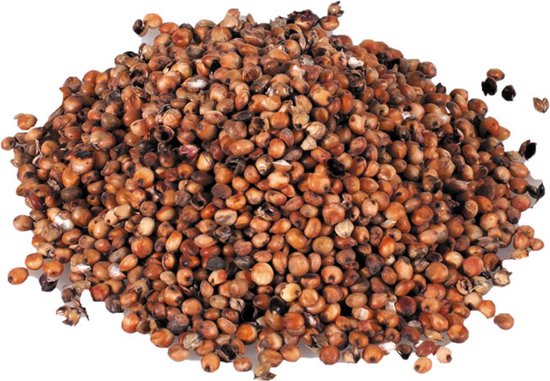 Reniers Fishing Rode Millocorn 1kg – Rode Dari Partikels voor Karper en Voermixen