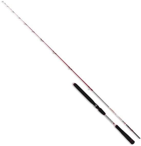 Renzo Valdieri Reggia Jigging Hengel Zwart,Grijs 1.81 m / 30-120 g