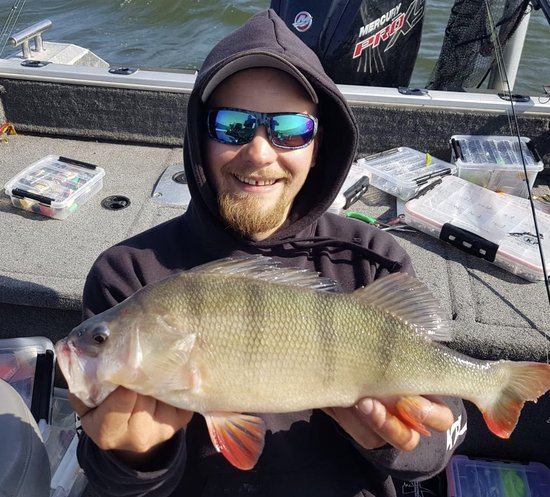 Rubberen Shad Vissen 7.5cm Wit - Flexibele Kunstaas voor Baars, Snoekbaars en Forel