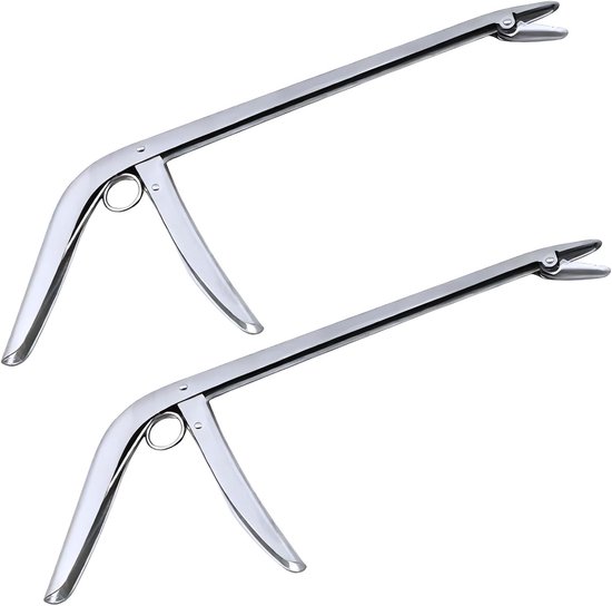 RVS Vishaak Verwijderaar Set van 2 - 28 cm Lange Haak Extractor voor Zoet- en Zoutwatervissen, Perfecte Vissers Tool