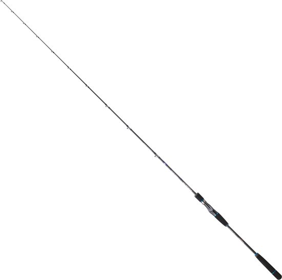 Sakura Ryokan Sw Casting Jigging Hengel Zilver 1.90 m / 50-150 g