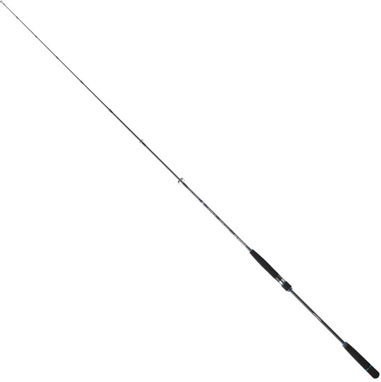 Sakura Ryokan Sw Jigging Hengel Zilver 1.93 m / 90-200 g
