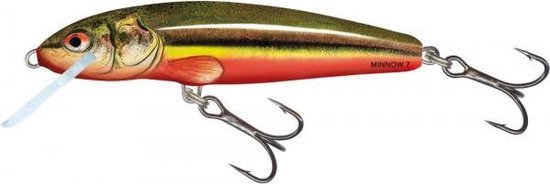 Salmo Minnow 9F 9cm - 10 gram - floating rainbow dace van Salmo