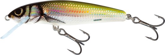Salmo Minnow Floating - Plug - Holo Bleak - 5cm - Zilver van Salmo