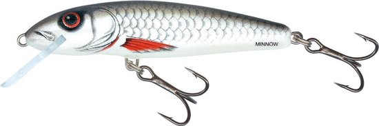 Salmo Minnow Sinking | Plug | Dace | 6cm van Salmo