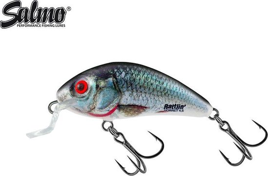 Salmo Rattlin Hornet Shallow - 4.5 cm - holographic real dace van Salmo