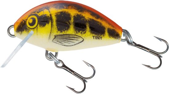 Salmo Tiny Floating (diepte 0.3m) 3cm - 2g - Kleur : Baby Minnow van Salmo