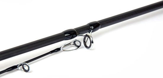 Salmo Trollmaster- 240cm-40-60gram van Salmo
