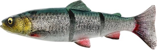 Savage Gear 4D Line-Thru Trout - 20cm 93g - slow sink - 1 stuk van Merkloos