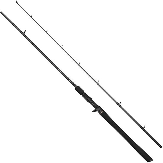 Savage Gear Alpha Sg2 Jerkbait Bc Baitcasting Hengel Zilver 2.06 m / 80-150 g