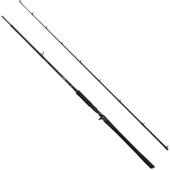 Savage Gear Alpha Sg2 Monster Bc Baitcasting Hengel Zilver 2.21 m / 35-100 g van Merkloos