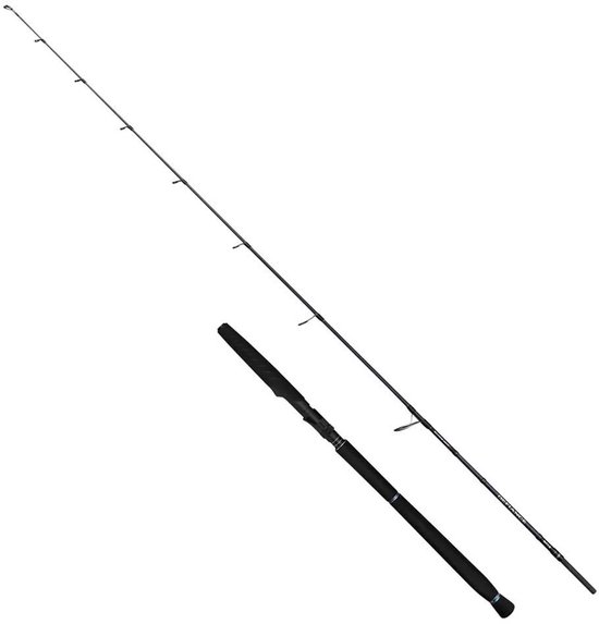 Savage Gear Defiance Sg2 Jigging Hengel Zilver 1.80 m / 120 g