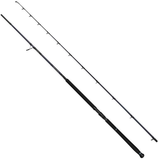 Savage Gear Defiance Sg2 Shore Jigging Hengel Zilver 2.90 m / 20-80 g