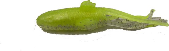 Savage Gear Ned Goby 7cm Floating 3gr (5 pcs) van Savage Gear