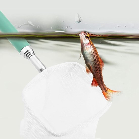 Schepnet Aquarium - Visnet Uitschuifbaar - Vissen Vangen - Lichtgewicht Ontwerp - Vierkante Mond - Groen