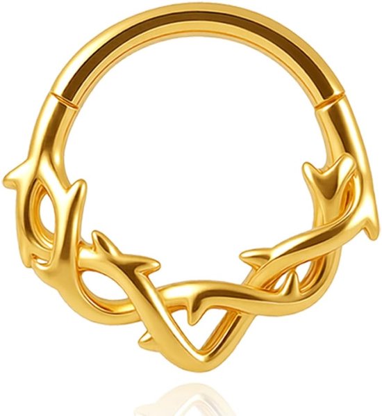 Septum Clicker Hinged segmentring 316L roestvrij staal 8 mm 10 mm 16 g neuspiercing ring doornen cartilage rook daith trage-piercing sieraad voor vrouwen en mannen zwart goud zilver