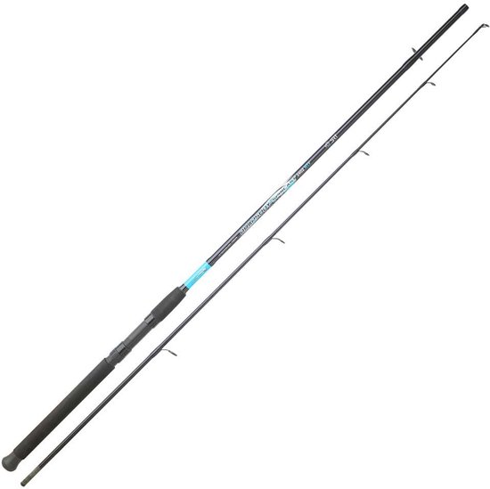 Sert Fish Instinct Rhapsody Cast Spinhengel Zilver 2.40 m / 20-50 g van Merkloos