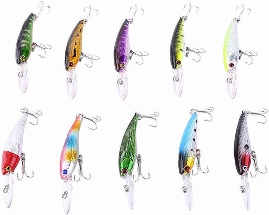 Set van 10 soorten kunstaas voor het vissen - Crankbaits - Cyprinida - Haken van metaal - Vissport accessoires