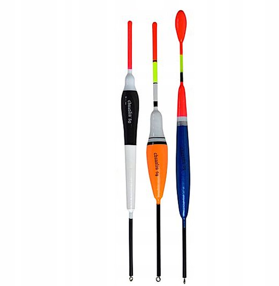Set van 10 Vissloodjes - Diverse Gewichten en Maten