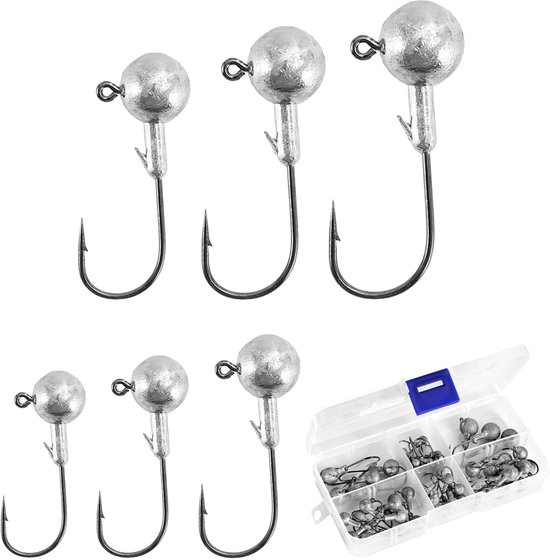 Set van 50 Jig Heads met Diverse Gewichten voor Vissen