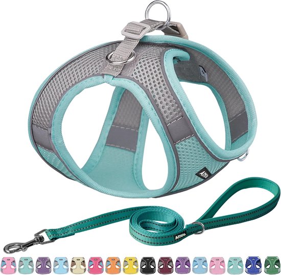 Set van instaptuigje en riem, lente, tegen trekken, ontsnappingsbestendig, met zachte mesh en reflecterende banden, verstelbaar, voor buiten, voor kleine en middelgrote honden, turquoise, M