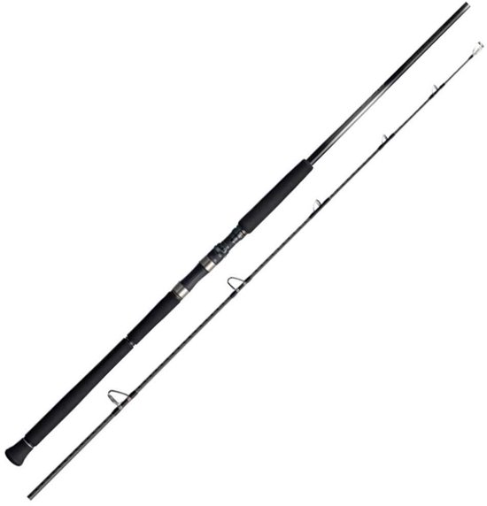 Shimano Fishing 25ocea Plugger Limited Spinhengel Zilver 2.49 m / 200 g