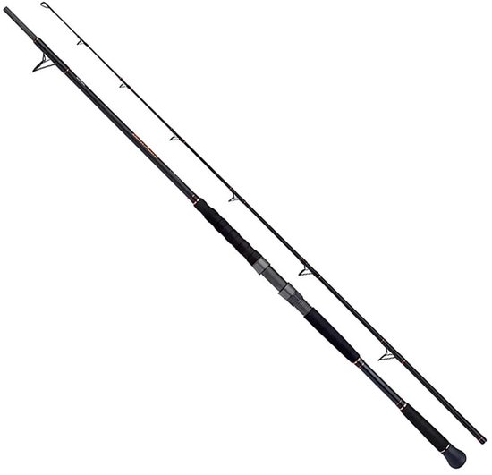 Shimano Fishing Beastmaster Lure Meervalhengel Zilver 2.40 m / 150 g van Merkloos