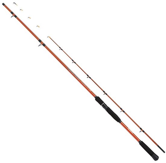 Shimano Fishing Beastmaster Tataki Bodemvissen Hengel Goud 2.44 m / 250 g