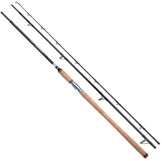 Shimano Fishing Speedmaster Salmon Cast Bodemvissen Hengel Zilver 3.76 m / 50-120 g