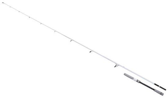 Shimano Fishing Stradic Seabass Spinhengel Zilver 2.18 m / 10-35 g