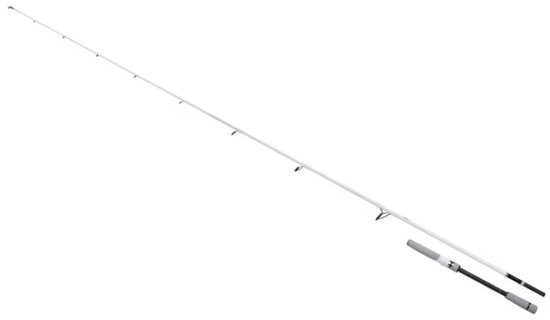Shimano Fishing Stradic Seabass Spinhengel Zilver 2.29 m / 20-60 g