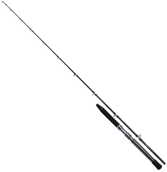 Shimano Fishing Talica Lite Trollinghengel Zilver 2.08 m / 750 g
