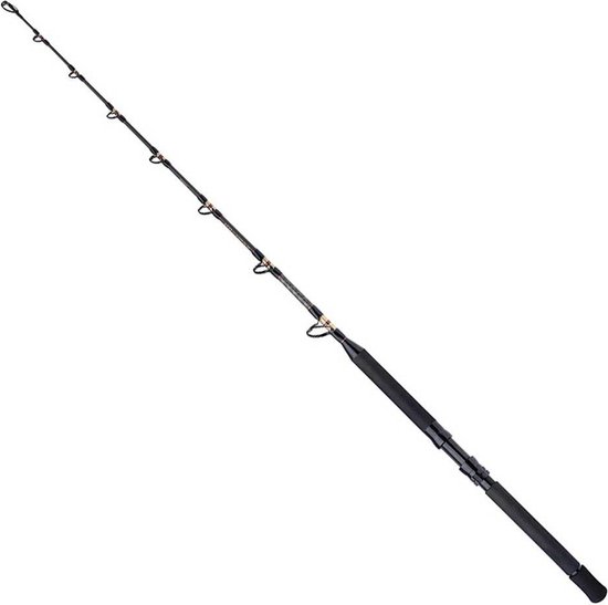 Shimano Fishing Tld B Stand Up Trollinghengel Zilver 1.65 m / 50 Lbs van Merkloos